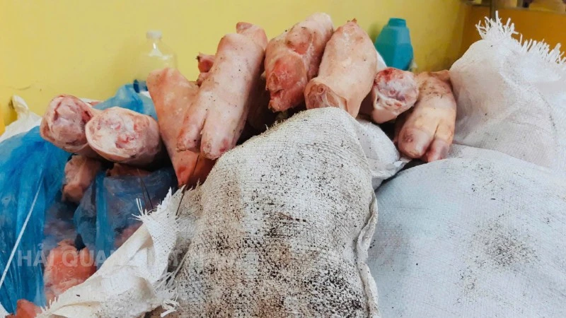 thực phẩm đông lạnh.jpg