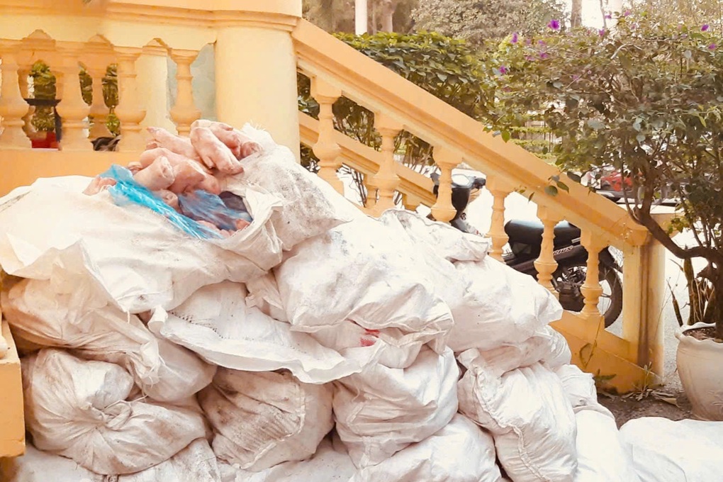 Bắt giữ 1 tấn chân lợn Trung Quốc nhập lậu bốc mùi hôi thối - 2