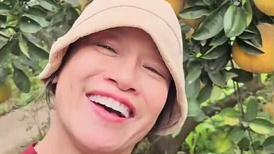 Bưởi trong vườn của diễn viên Tú Oanh