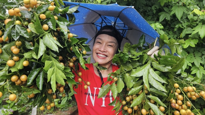 Nghệ sĩ thu hoạch hoa quả mùa hè năm ngoái.