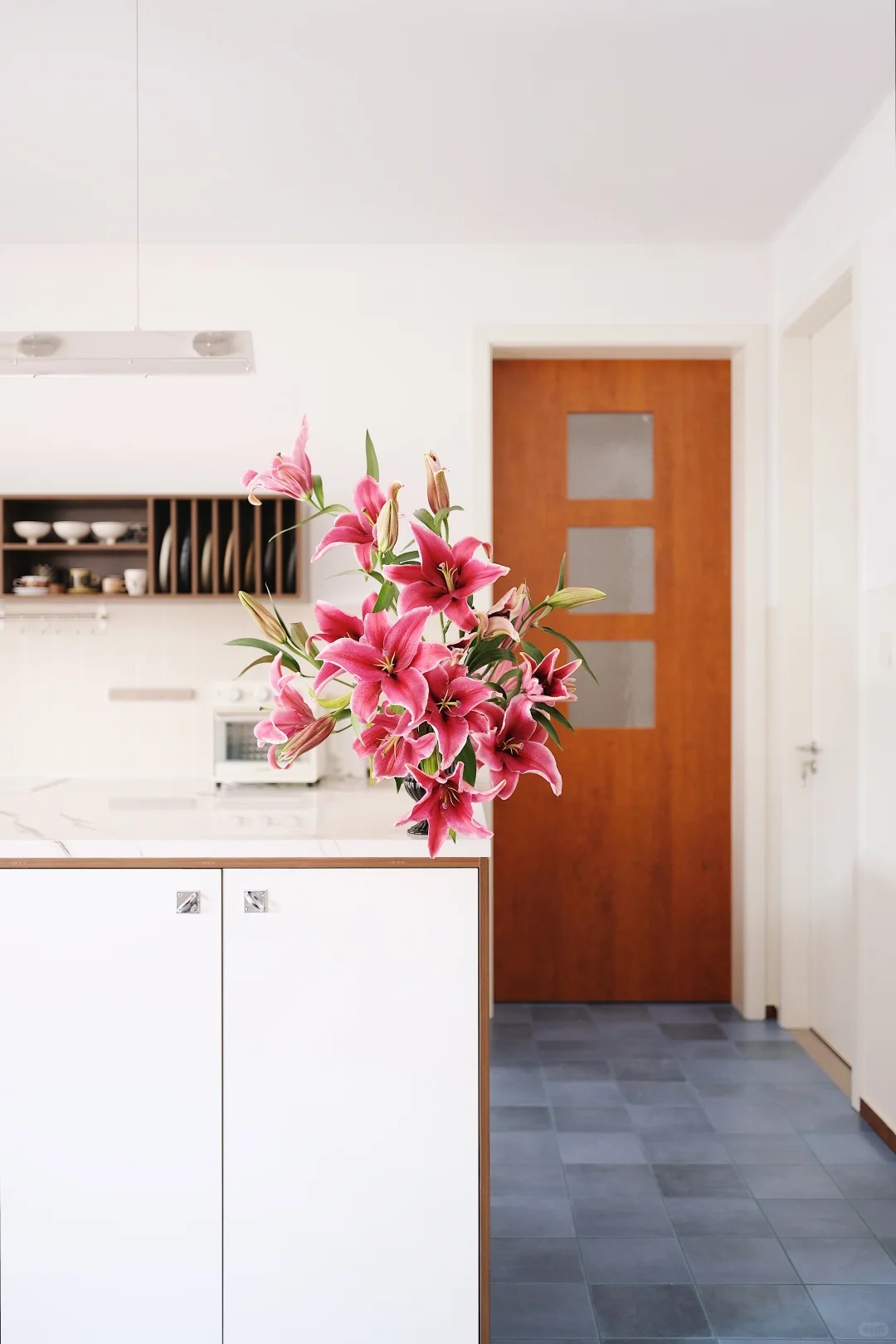 1768876576 164 Giong bach hop khong lo khien can nha thom nhu