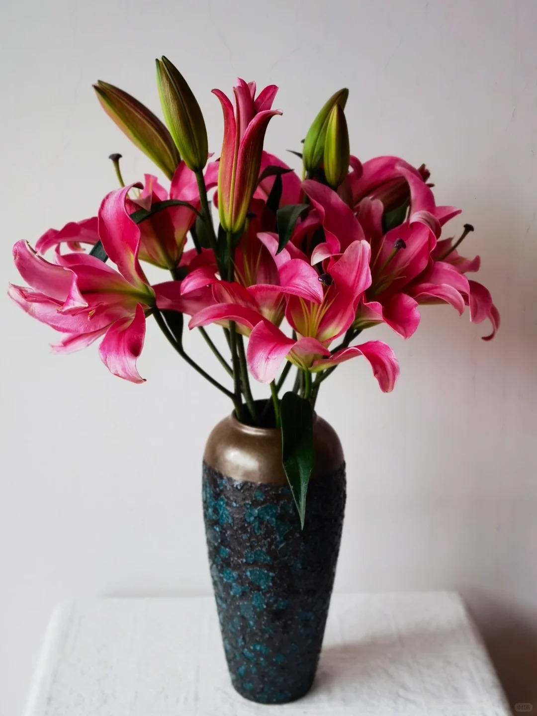 1768876579 630 Giong bach hop khong lo khien can nha thom nhu