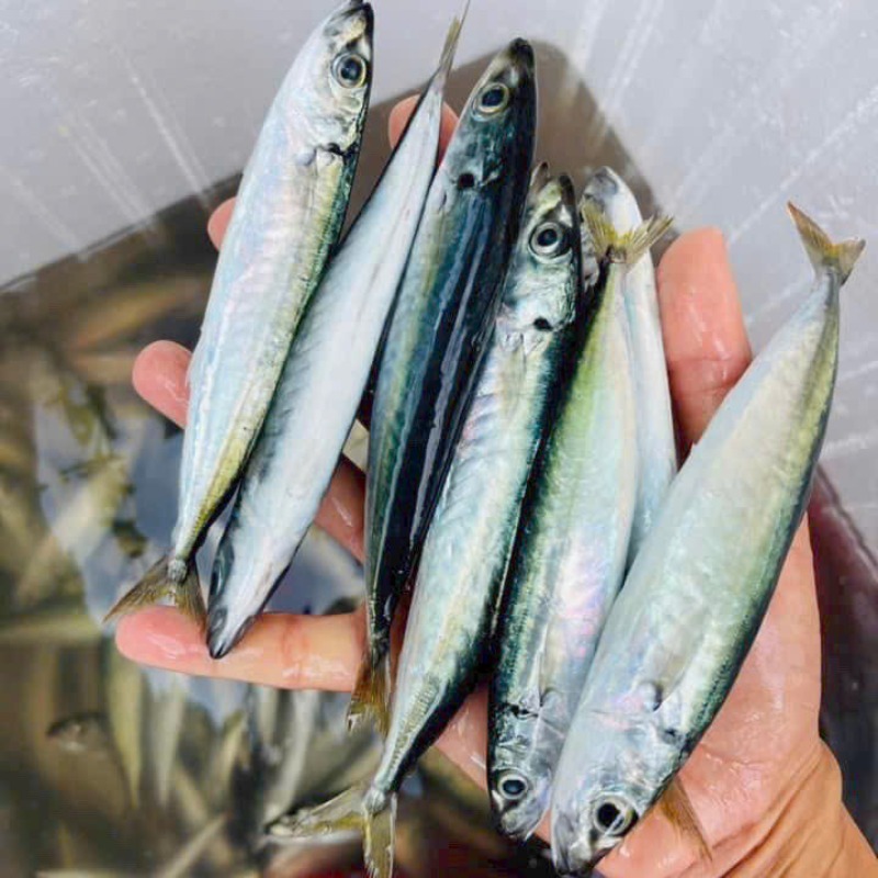 Quên cá hồi đi: Chợ Việt có 3 loại cá 