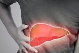 Mắc bệnh gan nhiễm mỡ vì thứ tưởng rằng "lành mạnh"