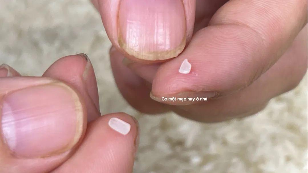 Ăn cơm suốt 30 năm, tôi biết 4 mẹo phân biệt gạo cũ - gạo mới: Gian thương không còn cửa lừa- Ảnh 2.