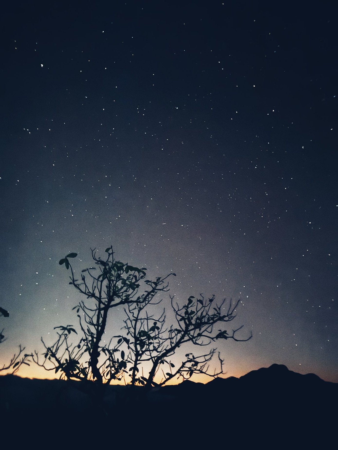 Từ đỉnh Ngũ Chỉ Sơn, vào những ngày quang đãng, du khách có thể phóng tầm mắt chiêm ngưỡng vẻ hùng vĩ của nhiều đỉnh núi nổi tiếng như Fansipan, Lảo Thẩn, Nhìu Cồ San, Kỳ Quan San, Chu Va, cùng biển mây biến ảo không ngừng. Không chỉ ban ngày, khi đêm xuống, Ngũ Chỉ Sơn còn mang vẻ đẹp khác biệt với bầu trời đầy sao và những cánh rừng, cây cối chìm trong tĩnh lặng. Để chiêm ngưỡng trọn vẹn vẻ đẹp của Ngũ Chỉ Sơn và bảo đảm an toàn, người dân và các porter khuyến cáo du khách cần theo dõi kỹ thời tiết, lựa chọn những ngày nắng ráo để leo núi.