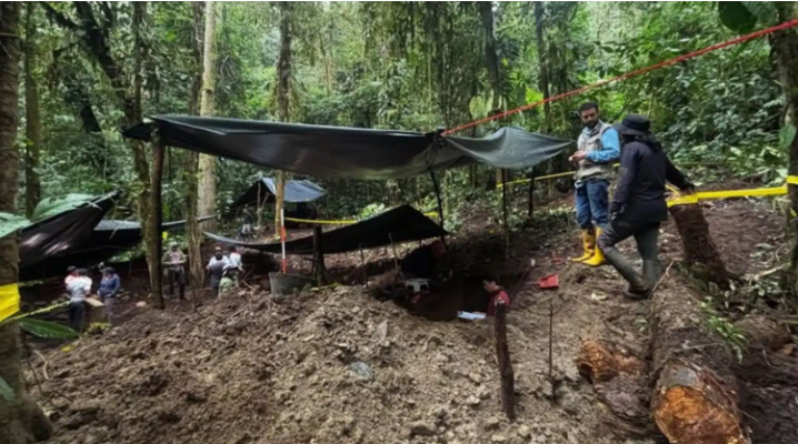 Quét laser xuyên rừng, các nhà khoa học sửng sốt phát hiện 