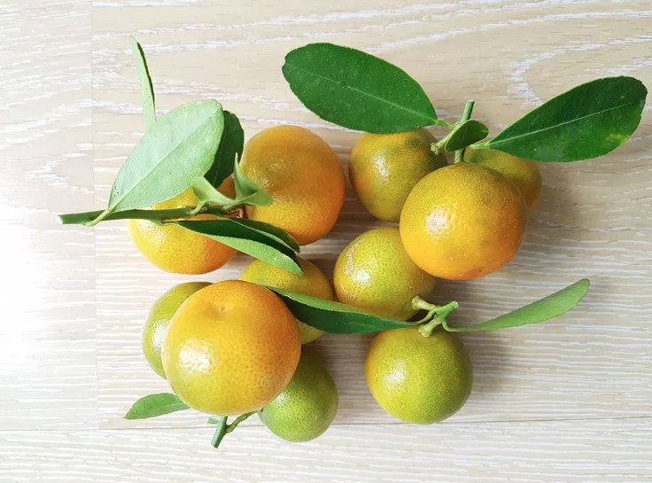 Mỹ giới thiệu 7 cây ăn quả trồng trong chậu rất hợp: Số 3 người Việt biết trồng từ lâu- Ảnh 2.