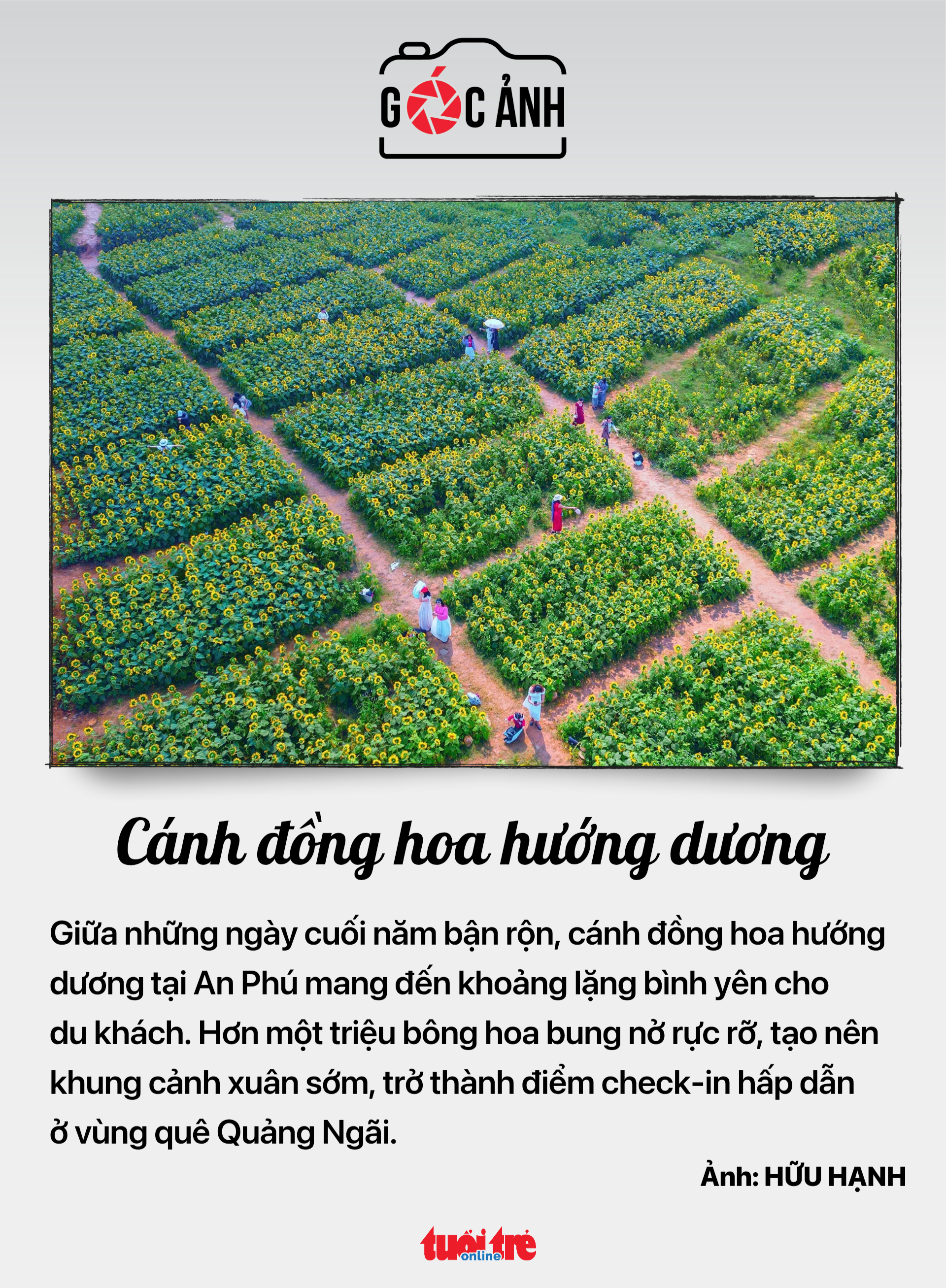 tin tức - Ảnh 7.