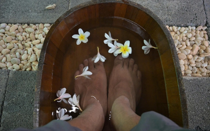 11 thảo dược cải thiện sức khỏe - Ảnh 6.