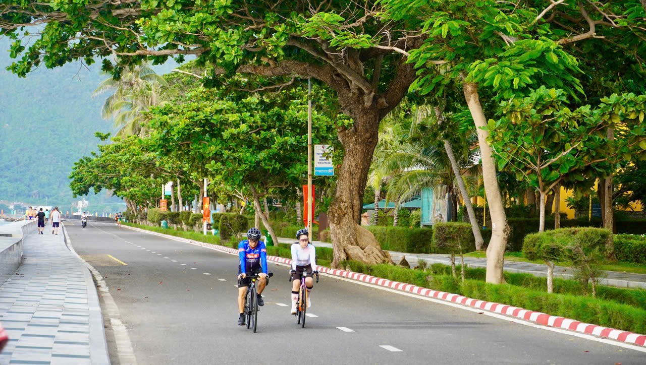 Côn Đảo vươn mình - Ảnh 1.