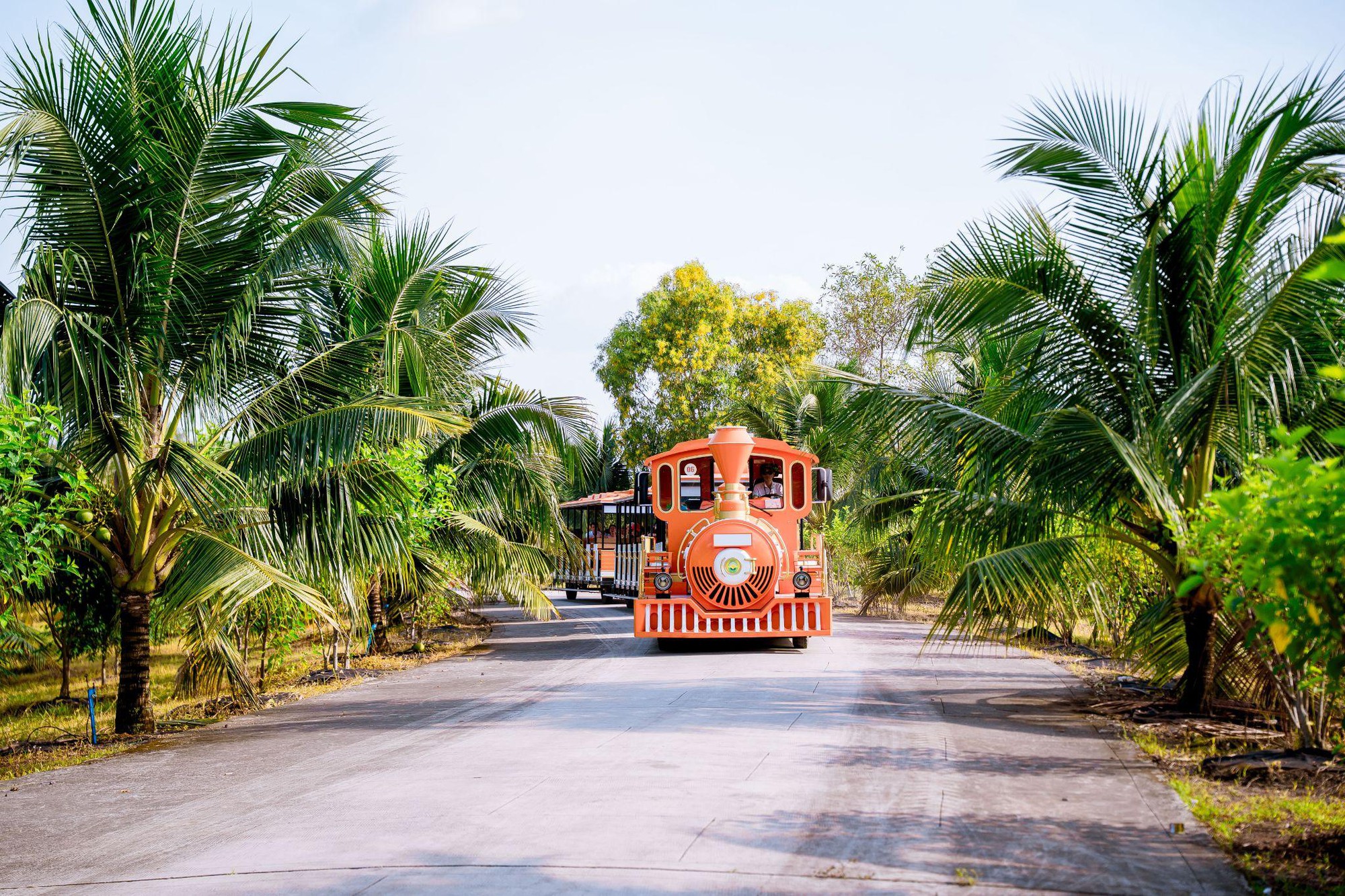 Tự tay hái trái giữa không gian xanh – Điểm hẹn thư giãn cho cả gia đình- Ảnh 5.