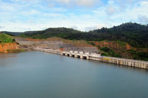 Lâm Đồng yêu cầu kiểm tra vết nứt dưới chân đập thủy điện Đồng Nai 1