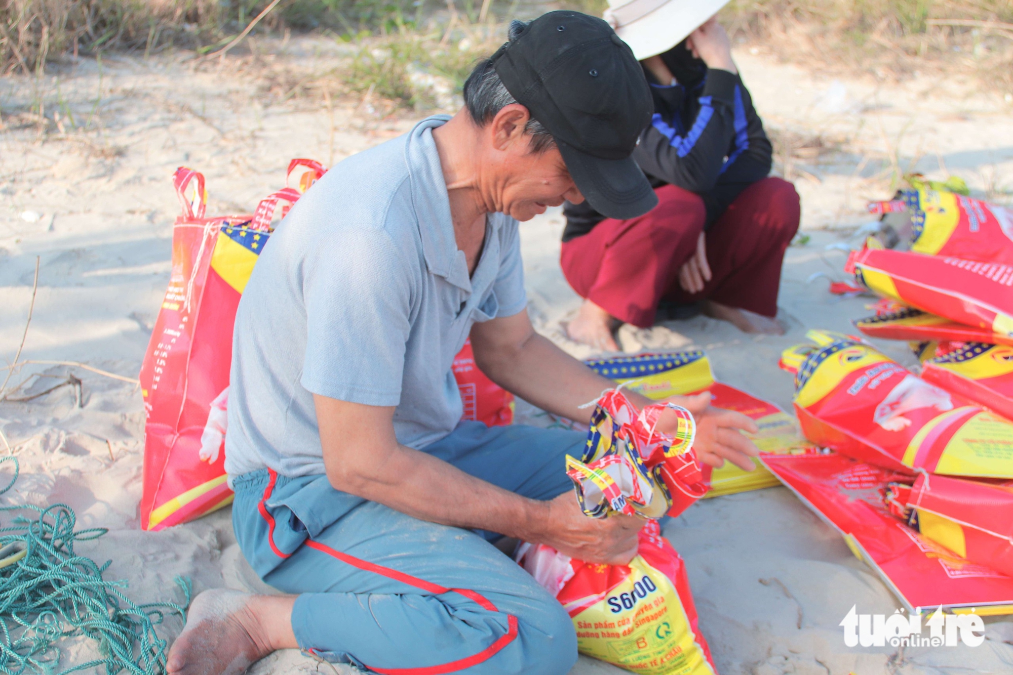 tôm hùm giống - Ảnh 2.