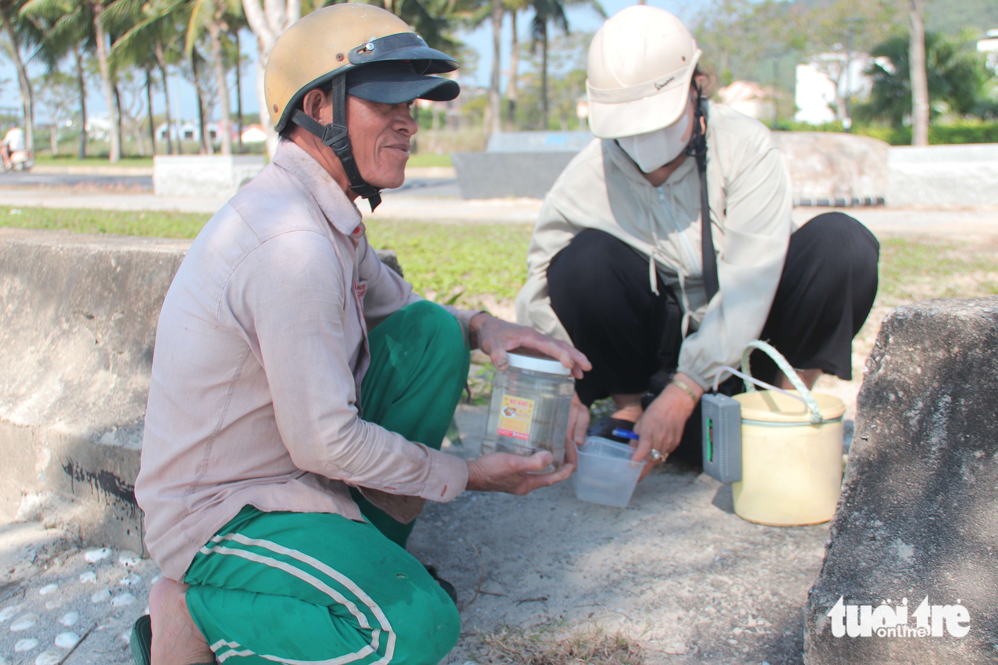 tôm hùm giống - Ảnh 5.