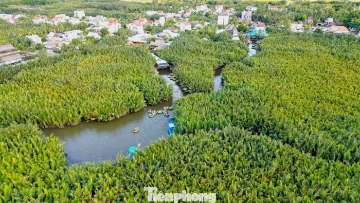 Những cánh rừng dừa nước xanh ngút ngàn cùng những dòng sông, kênh rạch và xóm làng nên thơ nằm len lỏi dưới tán rừng dừa nước.