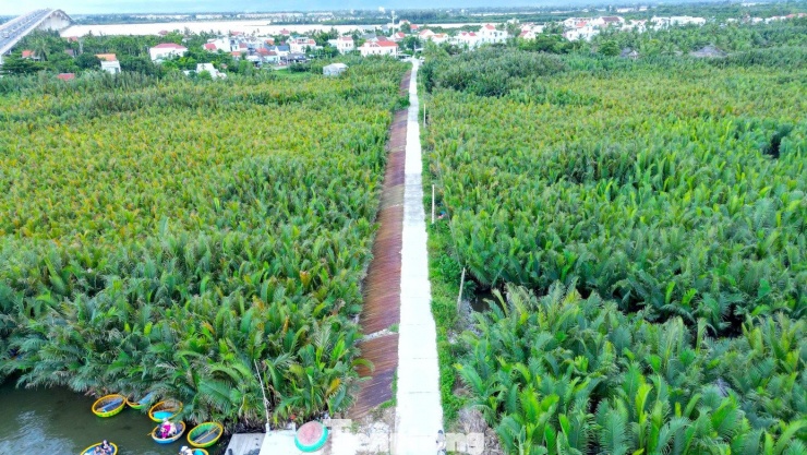 Theo người dân, rừng dừa nước này có từ hàng trăm năm. Giống dừa nước ngày xưa được ông bà xưa đưa từ vùng miền Tây Nam Bộ về trồng, hợp đất, hợp nước cứ thế tự nhiên sinh sôi nảy nở thành rừng. Ban đầu rừng dừa chỉ rộng chừng 7ha nên thường hay gọi là Rừng dừa Bảy mẫu, đến nay đã phát triển lên đến hơn 100ha.