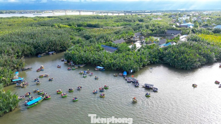 Không những là di tích có giá trị lịch sử đặc biệt, rừng dừa Bảy Mẫu còn là khu sinh thái độc đáo với cảnh quan tuyệt đẹp và đa dạng sinh học của hệ thống rừng ngập mặn.