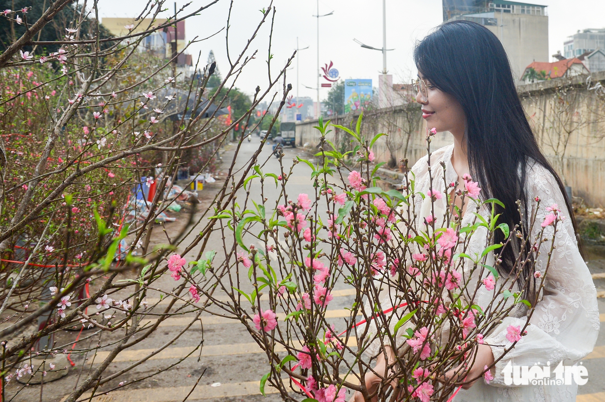 đào rừng - Ảnh 3.