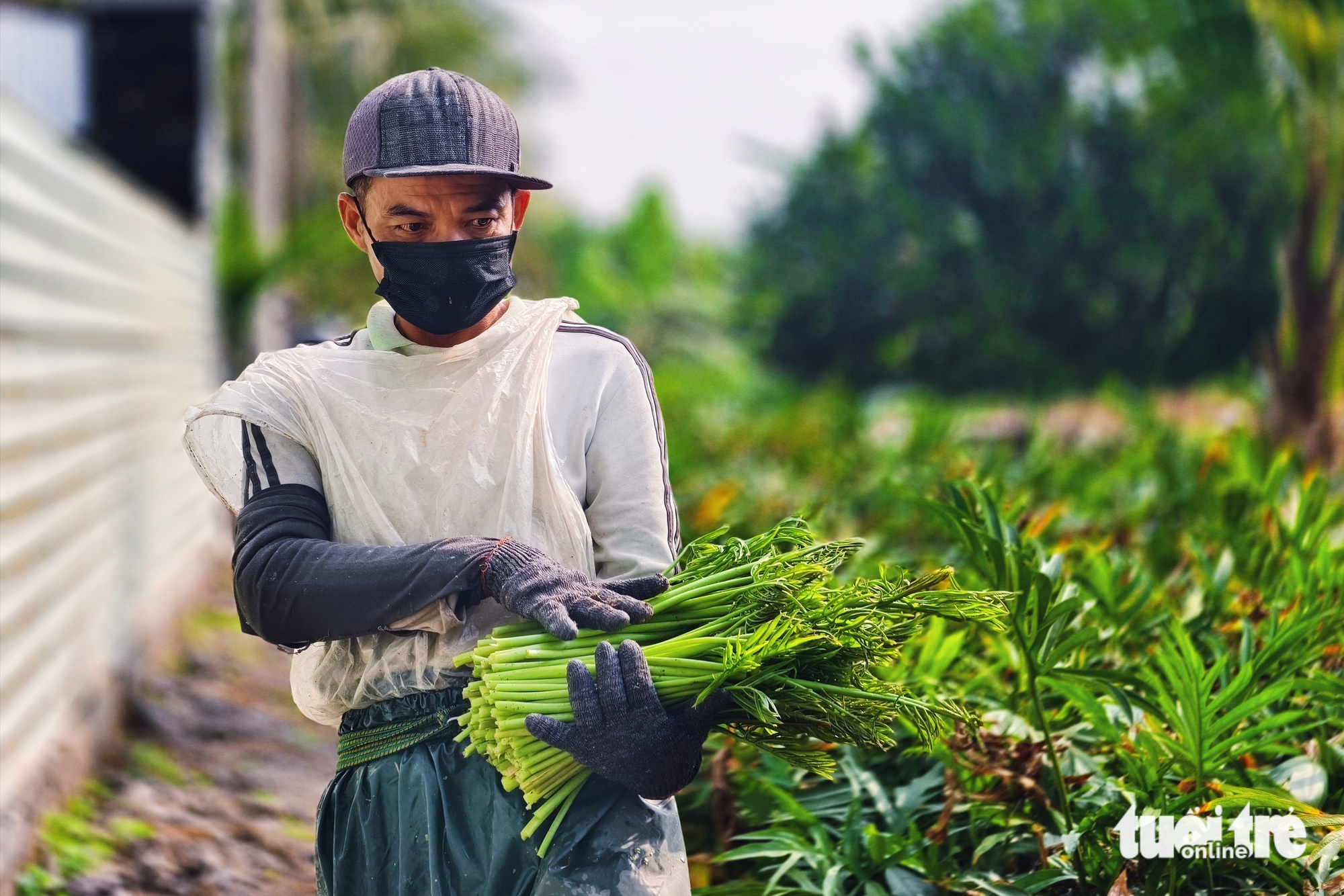 du lịch cộng đồng - Ảnh 8.