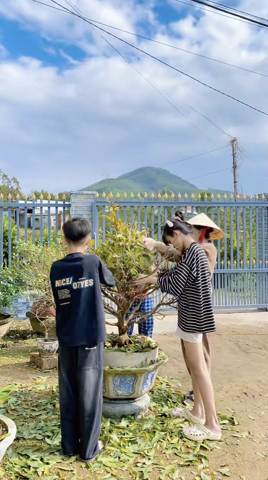 Cận cảnh rước 