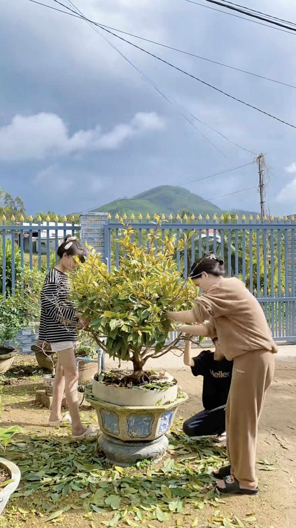 Cận cảnh rước 