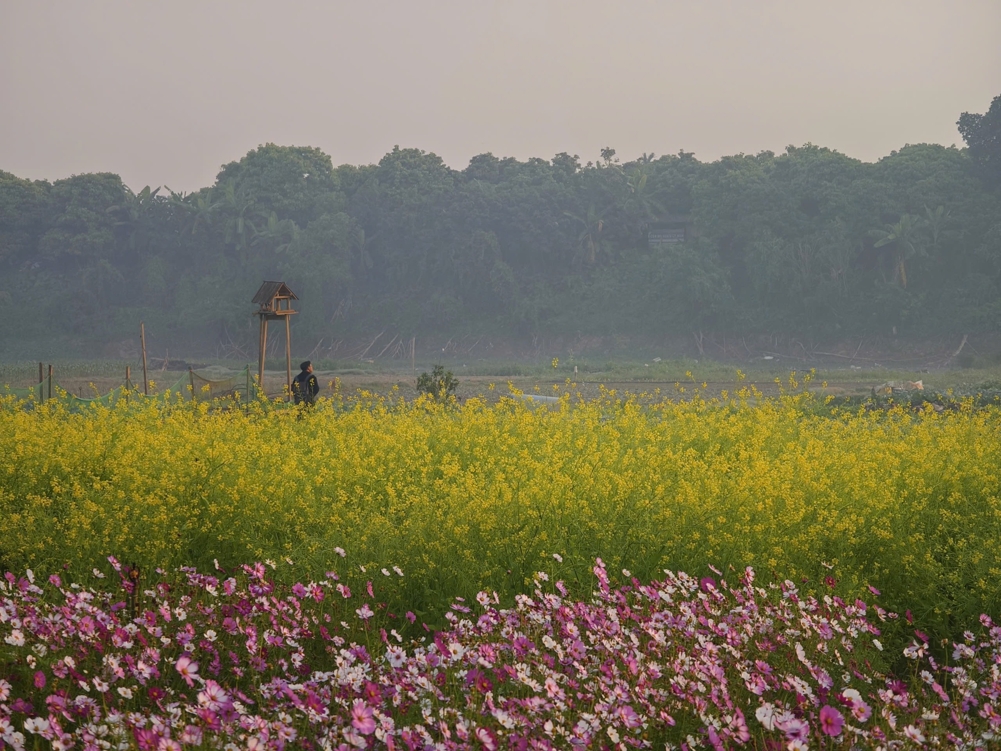 Giữa Hà Nội vội vã, có một nơi yên bình đến lạ mà giới trẻ đang rủ nhau tìm về- Ảnh 9.