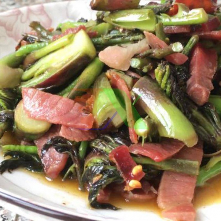 Thứ rau dại ở Việt Nam được ví cây nhân sâm, báu vật số 1 thế giới, nhiều người lại không biết mà ăn 6 Cây Chồi Rồng Gai đượng gọi là "cây nhân sâm", và "báu vật đầu tiên của thế giới". Ngoài việc xem và ăn, nụ vối gai còn có giá trị y học nhất định, có tác dụng bảo vệ gan, bồi bổ cơ thể, có tác dụng chữa bệnh tốt trong điều trị các chứng viêm cấp và mãn tính, suy nhược thần kinh. Người ta còn cho rằng củ gai Longbao có công năng bổ khí, làm dịu thần kinh, cường tinh, bổ thận tráng dương.