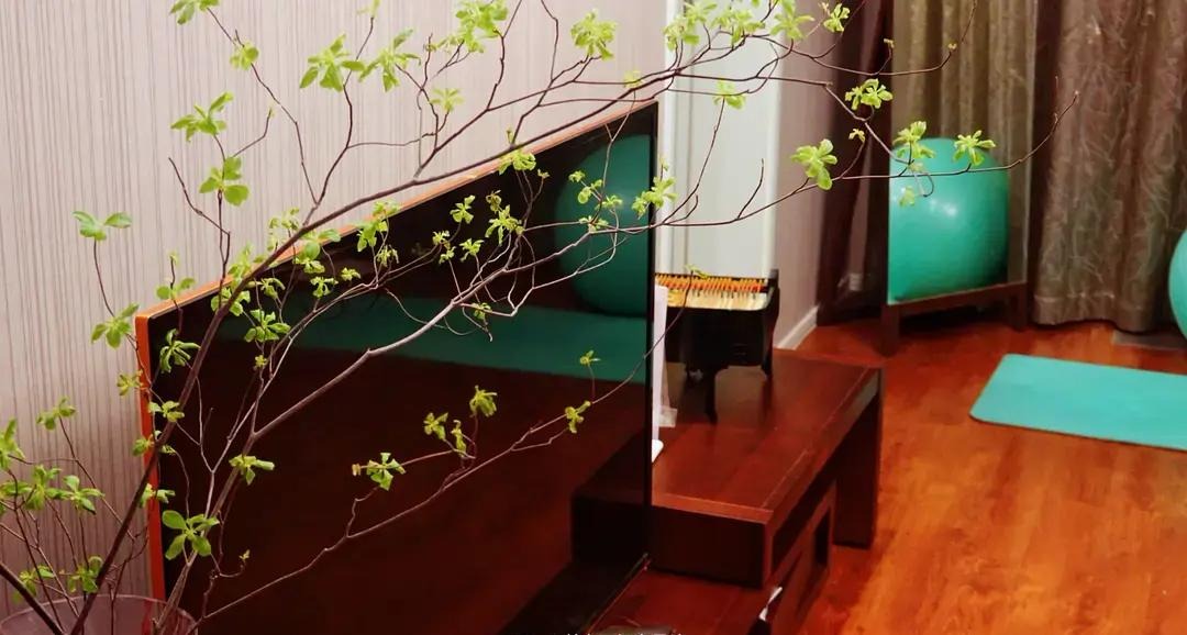 BTV kỳ cựu rời đài truyền hình vì áp lực: Dốc sạch tiền mua nhà 