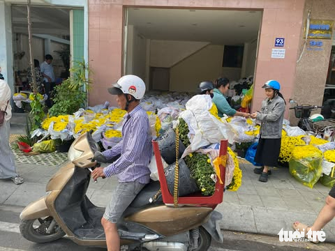 Người miền Tây giúp 'giải cứu' cúc mâm xôi Sa Đéc, Chợ Lách nở sớm 3 cúc mâm xôi - Ảnh 3.