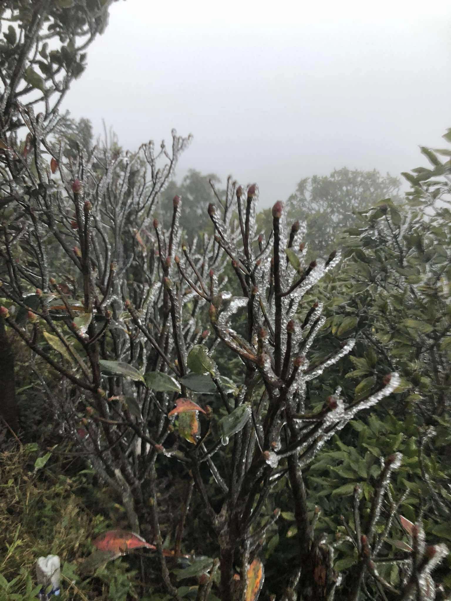 Nơi lạnh nhất Việt Nam lúc này- Ảnh 3. Nơi lạnh nhất Việt Nam lúc này- Ảnh 3.