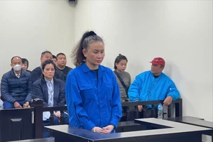 Hứa mua đất giúp, người phụ nữ chiếm đoạt hơn 200 tỉ đồng 