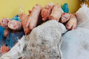 Hải quan bắt giữ hơn 1,5 tấn thực phẩm đông lạnh nhập lậu 