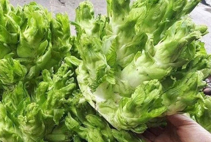 Loại rau ví như 'vàng' giúp ruột khỏe, giải độc, kháng viêm, đang vào mùa ngon nhất năm - 3