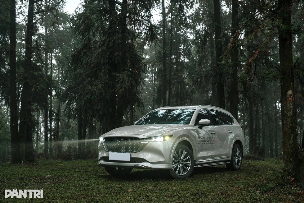 Những màn soán ngôi gây chú ý nhất trên thị trường ô tô Việt năm 2025 - 7