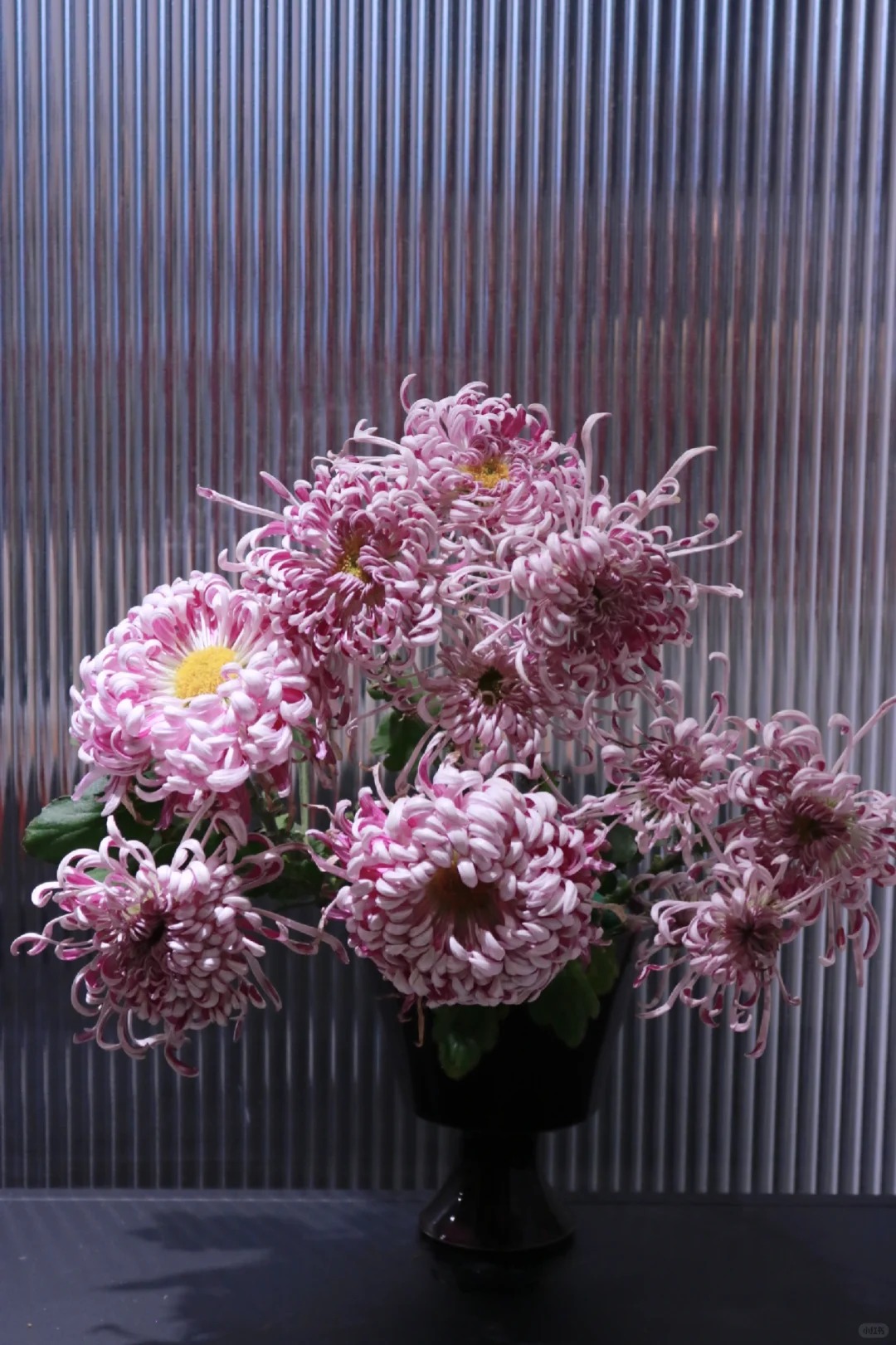 Đừng mải mê lan hồ điệp, cúc 