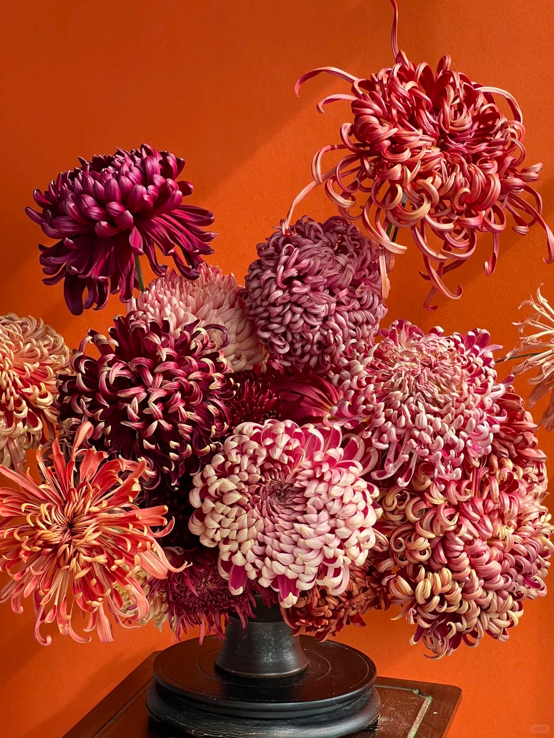 Đừng mải mê lan hồ điệp, cúc 