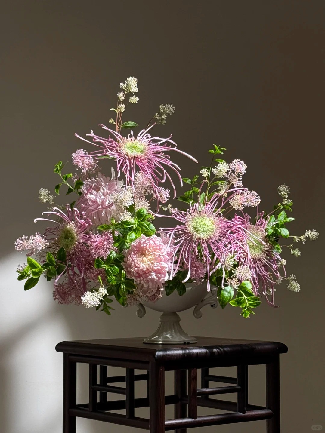 Đừng mải mê lan hồ điệp, cúc 