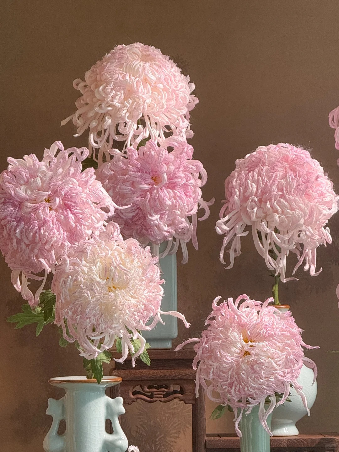 Đừng mải mê lan hồ điệp, cúc 