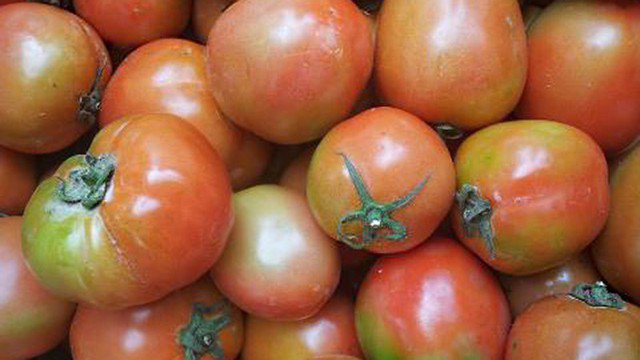 Chỉ với 3 cách bảo quản này, bạn đã có cà chua để dành dùng quanh năm 5 Cà chua ương bảo quản trong ngăn mát tủ lạnh ở nhiệt độ khoảng 4-5 độ C là tốt nhất.