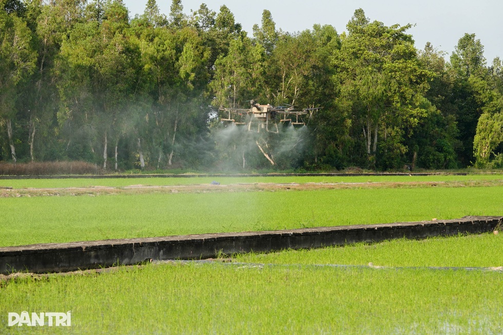 Nâng tầm hạt gạo Việt trong kỷ nguyên nông nghiệp công nghệ cao - 2