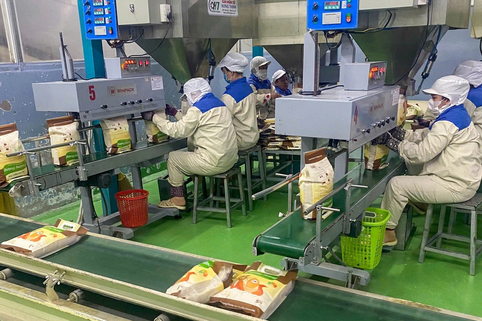 Nâng tầm hạt gạo Việt trong kỷ nguyên nông nghiệp công nghệ cao - 8