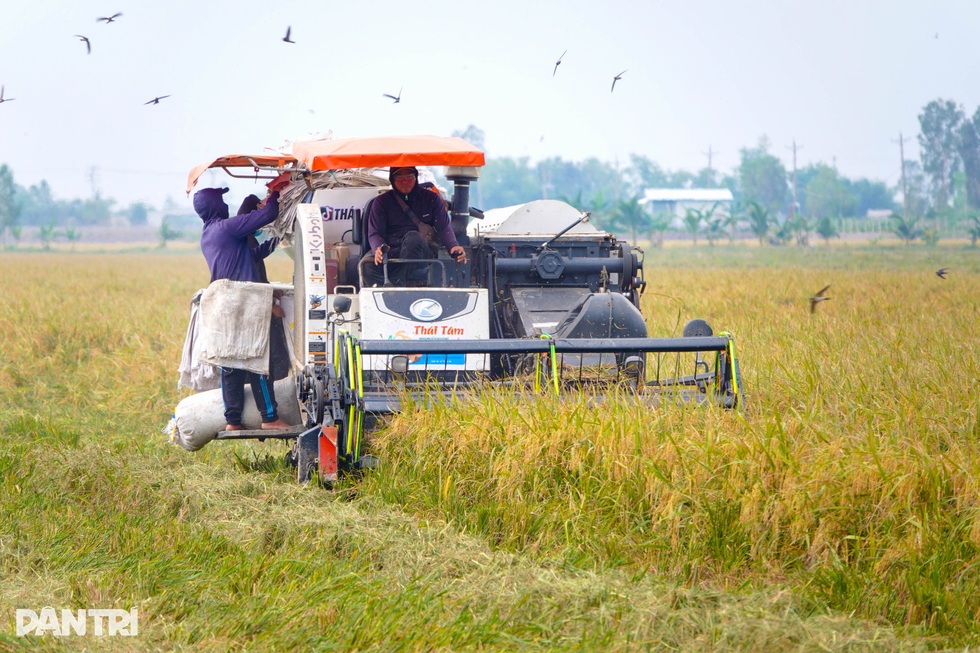 Nâng tầm hạt gạo Việt trong kỷ nguyên nông nghiệp công nghệ cao - 9 Nâng tầm hạt gạo Việt trong kỷ nguyên nông nghiệp công nghệ cao - 9