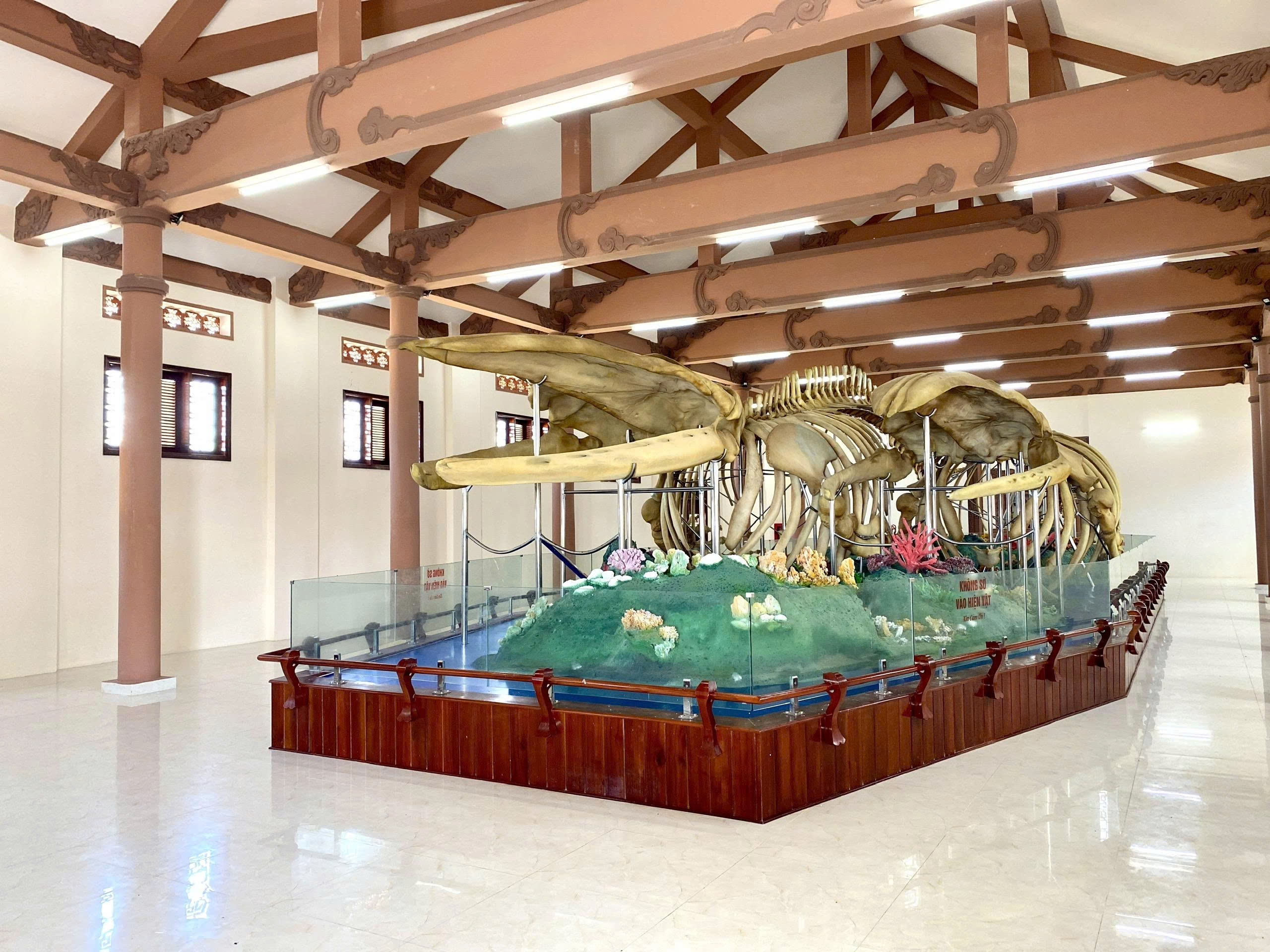 Hai bộ xương cá voi lớn nhất Việt Nam bị hư hỏng, chờ đánh giá mức độ xuống cấp - Ảnh 4.