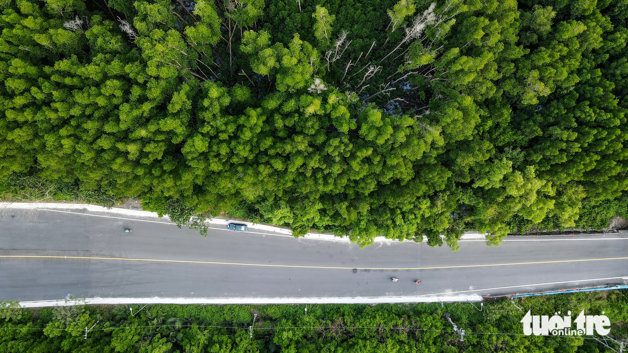 Những dự án mở lối đưa Cần Giờ ‘gần’ hơn với trung tâm TP.HCM 21 Cần Giờ - Ảnh 21.