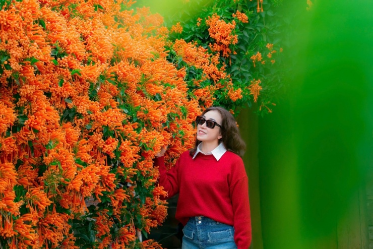 Ngôi nhà rực đỏ hoa xác pháo mang sắc Tết về vùng cao Lâm Đồng 7 Ngôi nhà rực đỏ hoa xác pháo mang sắc Tết về vùng cao Lâm Đồng - 6