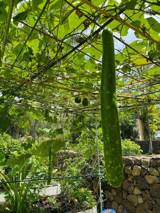 Vợ Việt nấu bánh xèo, phở bò khiến chồng con Mỹ mê tít 14 Vợ Việt nấu bánh xèo, phở bò khiến chồng con Mỹ mê tít - 13