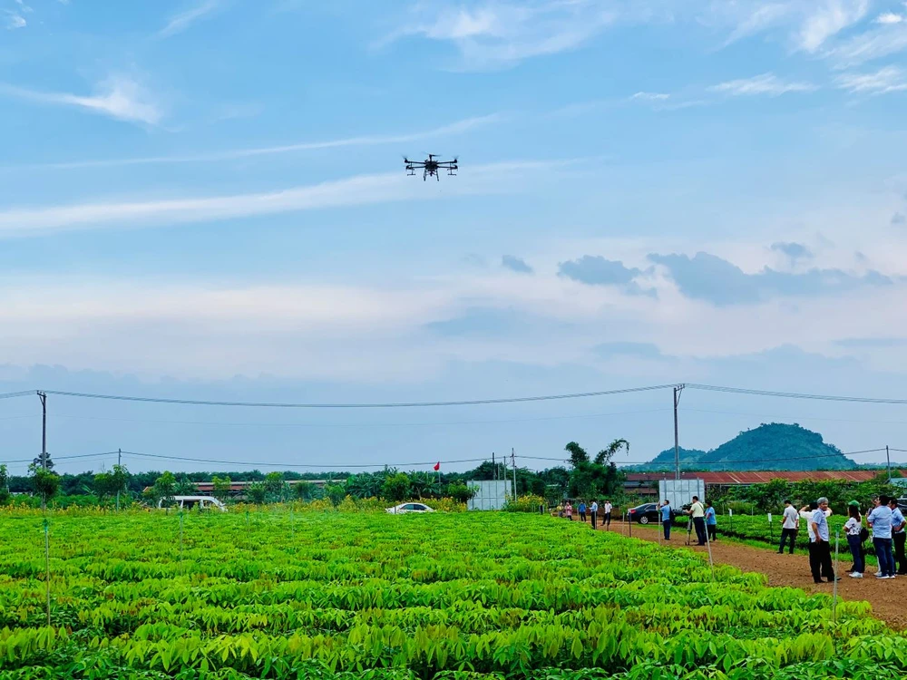 Ứng dụng drone trong việc tưới phân bón cho cây giống. Ảnh: PM hinh 5 2 3.jpg