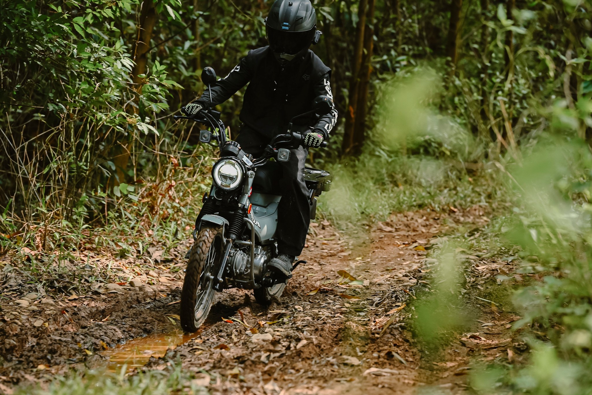 Honda CT125 - Ảnh 2.