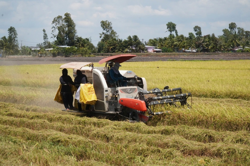 Đã đến lúc nông nghiệp Việt Nam bán chất xám thay vì bán nông sản thô - 2